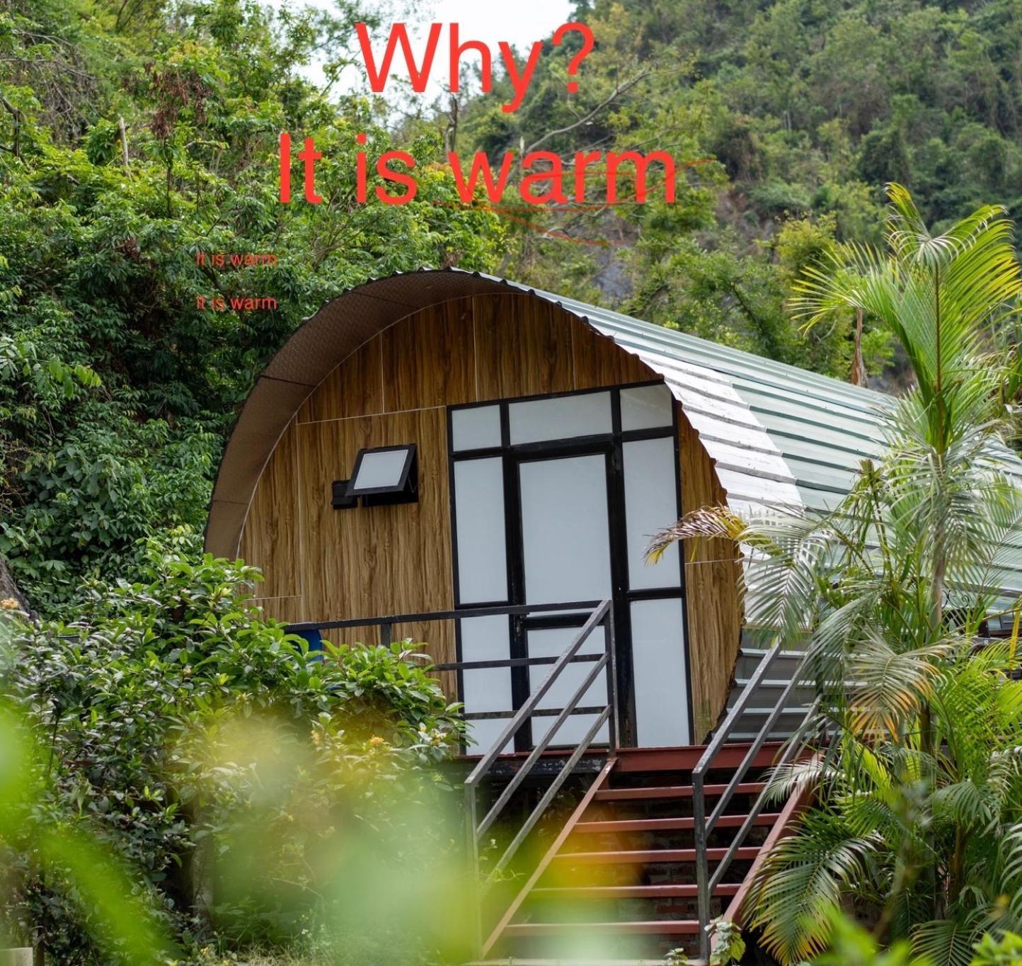 Xuan Dam Cat Ba Love House מראה חיצוני תמונה
